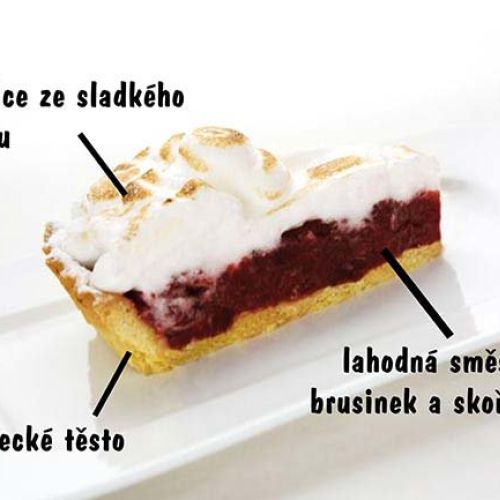 Brusinky & pomeranč